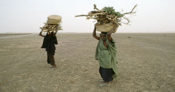 Kvinnor bär ved i Mali UN Photo/Ian Steele