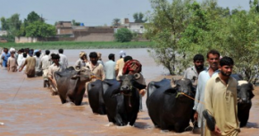 Människor som drabbats av översvämningar i Pakistan.